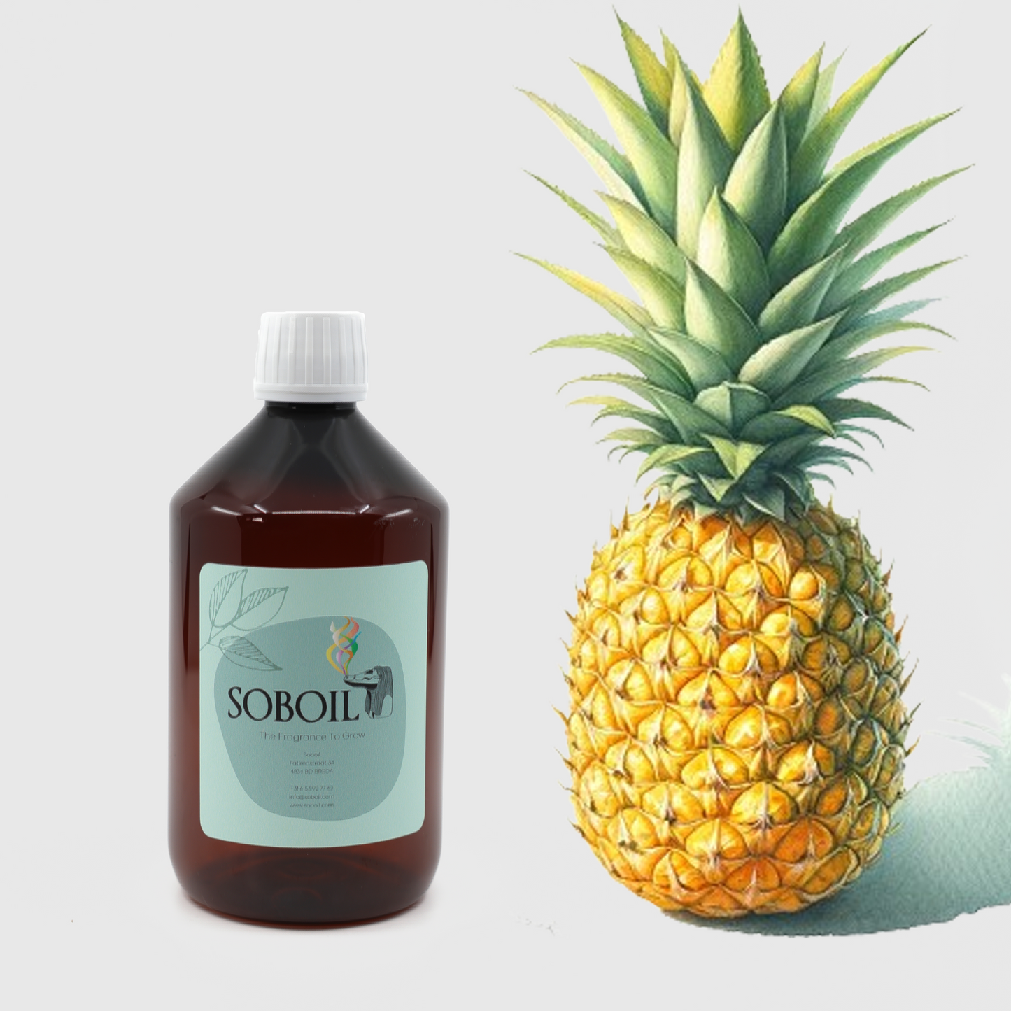 Fruit - 500ml