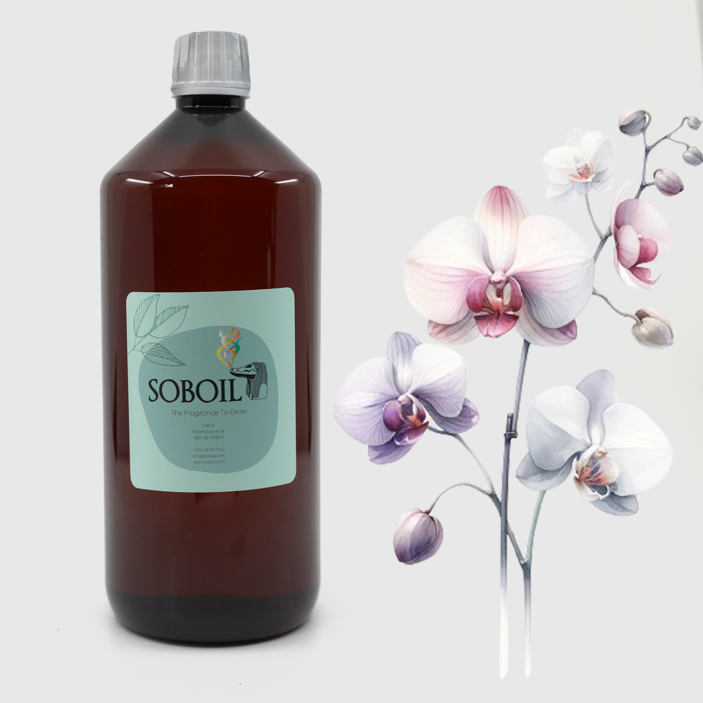 Bloemen & Planten - 1L